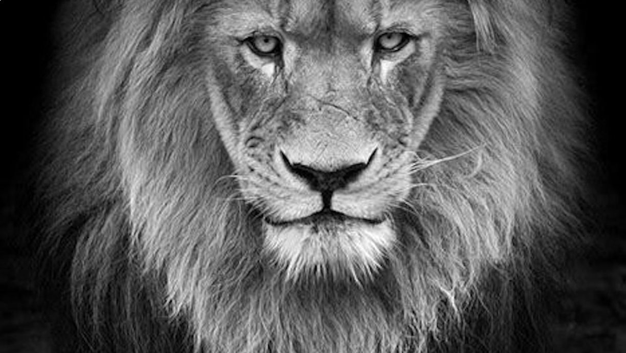 Breaking The Mold: A Journey to Self-Actualisation