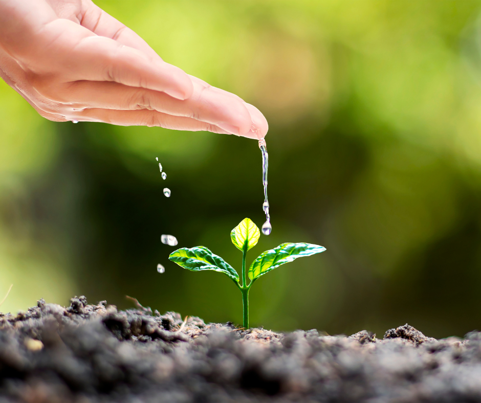 Nurturing Your Inner Garden: Breathwork is the Fertile Soil for Personal Growth